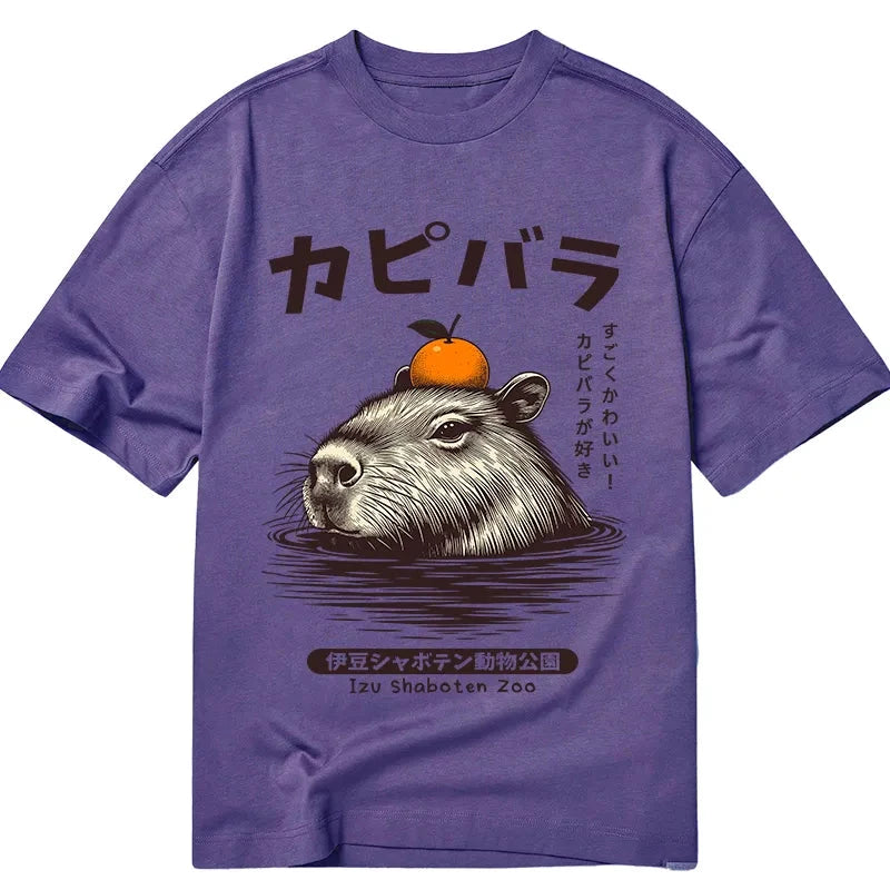 Tokyocanvas Capybara Hot Spring Classic T-Shirt