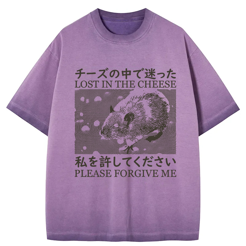 Tokyocanvas Lost in the Cheese Please Forgive Me Gradient Washed T-Shirt