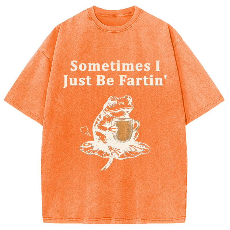 Tokyocanvas Sometimes I Just Be Fartin Funny Frog Washed T-Shirt