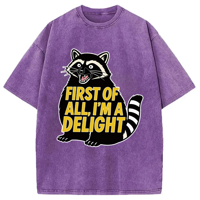 Tokyocanvas First of All I'm a Delight Raccoon Washed T-Shirt