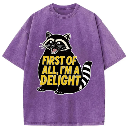 Tokyocanvas First of All I'm a Delight Raccoon Washed T-Shirt