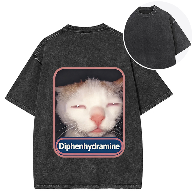 Tokyocanvas Funny Cat Meme Back Washed T-Shirt