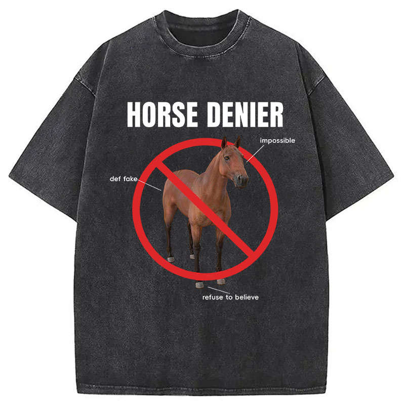 Tokyocanvas Horse Denier Analysis Washed T-Shirt