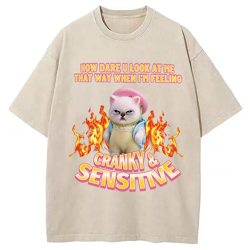 Tokyocanvas Cranky Kitty Washed T-Shirt