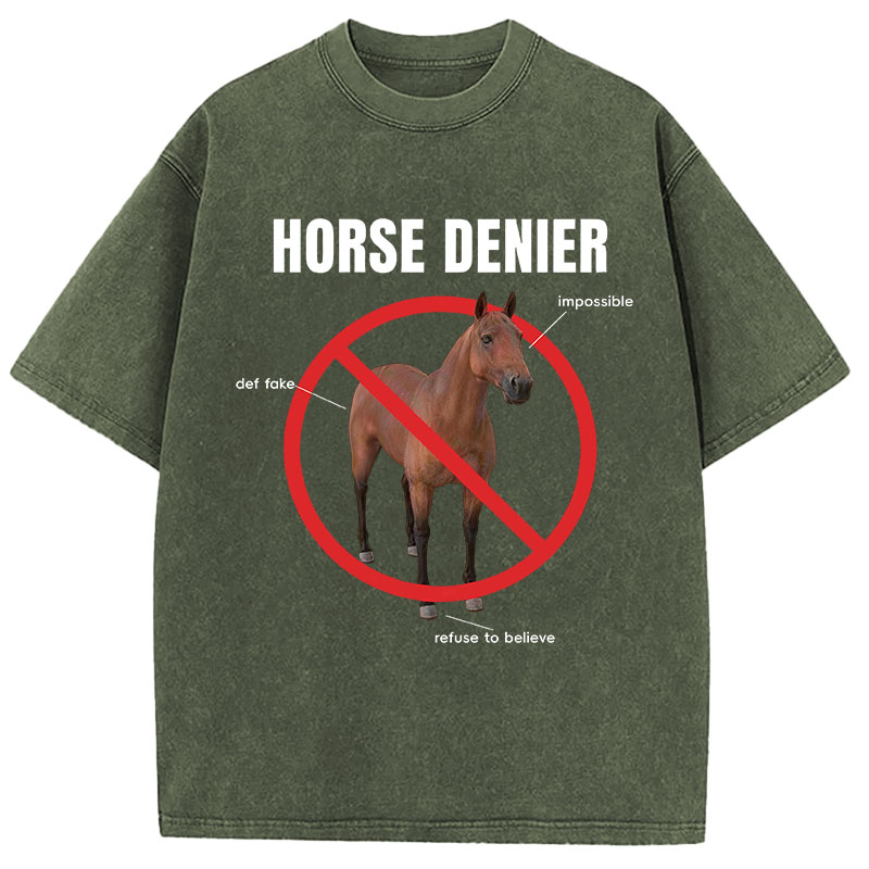 Tokyocanvas Horse Denier Analysis Washed T-Shirt