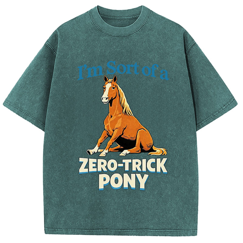 Tokyocanvas Zero Trick Pony Washed T-Shirt