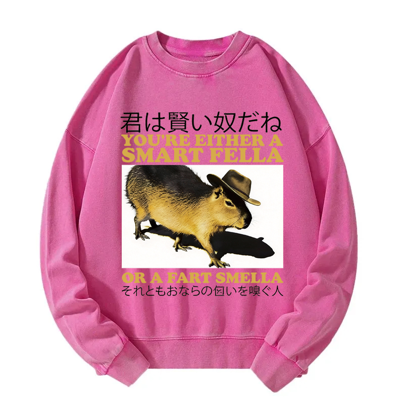 Tokyocanvas Smart Fella Fart Smella Capybara Washed Sweatshirt