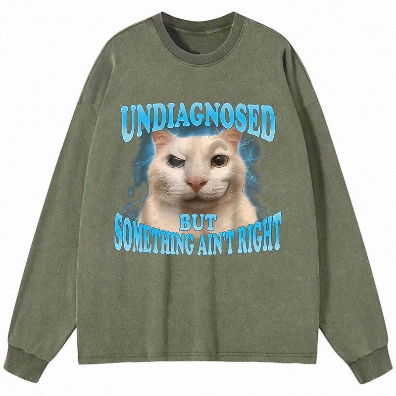 Tokyocanvas Undiagnosed But Something Ain't Right Funny Cat Meme Long Sleeve Washed T-Shirt