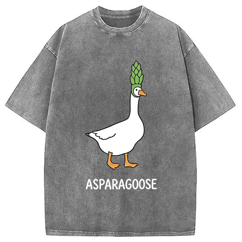 Tokyocanvas Asparagoose Washed T-Shirt