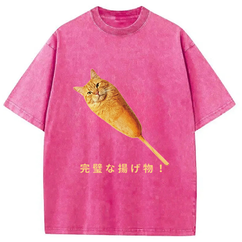 Tokyocanvas Orange Cat Hotdog Meme Washed T-Shirt