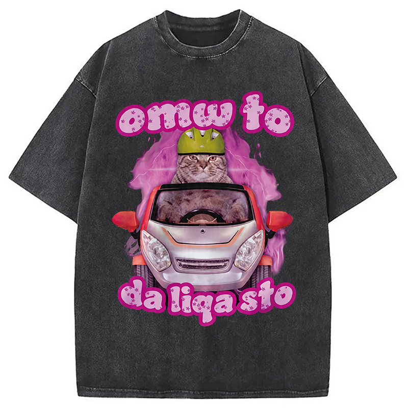 Tokyocanvas Only The Will To Funny Cat Meme Washed T-Shirt