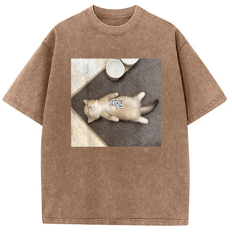 Tokyocanvas Eepy Funny Cat Meme Washed T-Shirt
