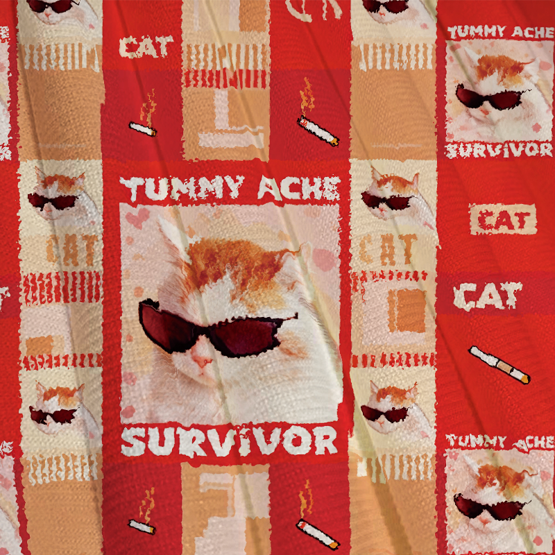 Tokyocanvas Tummy Ache Survivor Funny Cat Meme Casual Ugly Sweatshirt