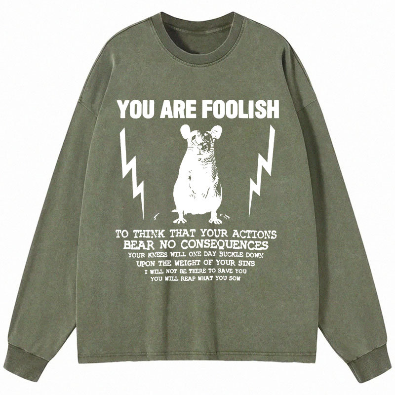 Tokyocanvas You Are Foolish Rat Meme Long Sleeve Washed T-Shirt