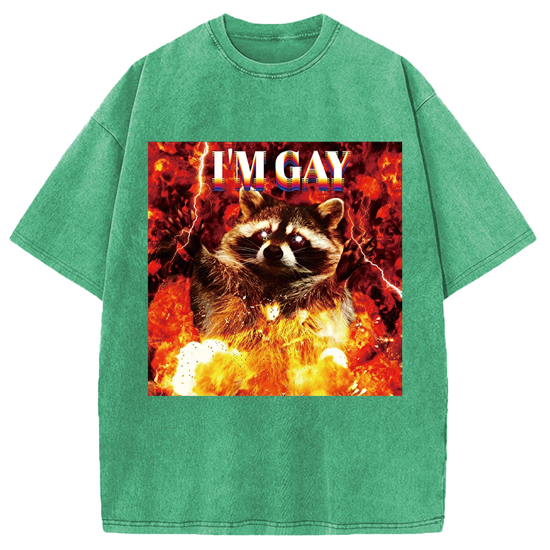 Tokyocanvas I'm Gay Washed T-Shirt