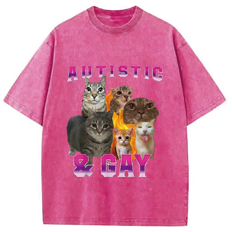 Tokyocanvas Funny Memes Brainrot Brain Rot Washed T-Shirt