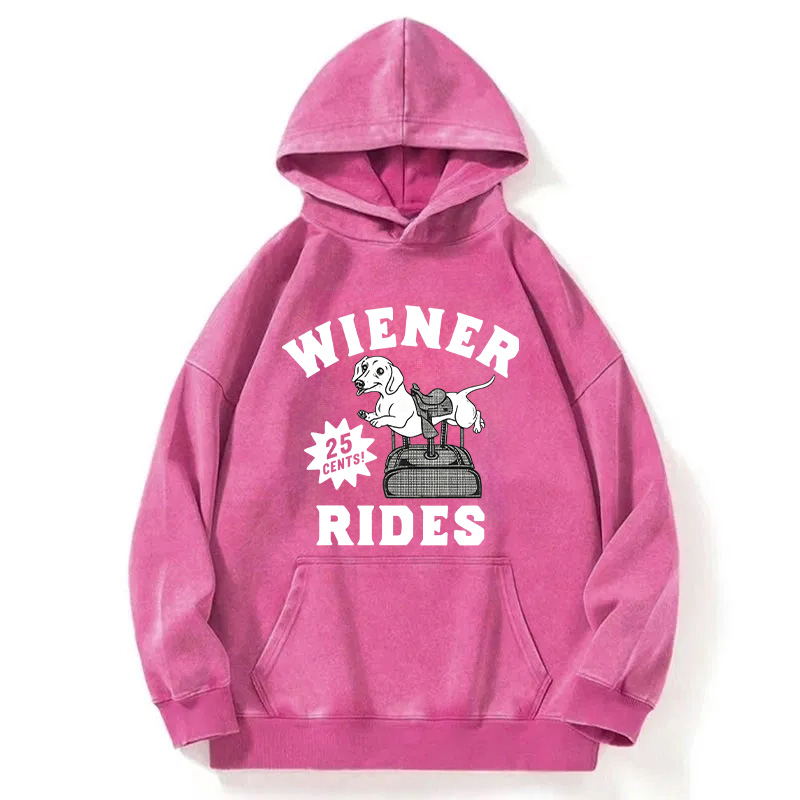 Tokyocanvas Wiener Rides Funny Dog Washed Hoodie