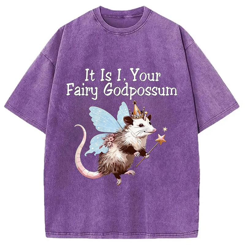 Tokyocanvas It Is I Your Fairy Godpossum Washed T-Shirt