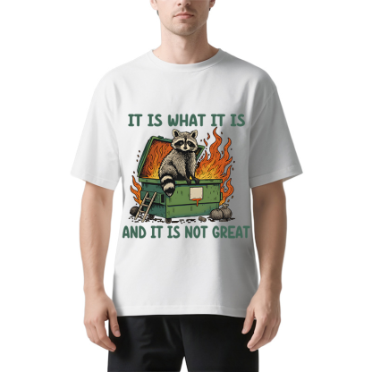 Tokyocanvas It Is What It Is Dumpster Fire Funny Raccoon Meme Classic T-Shirt