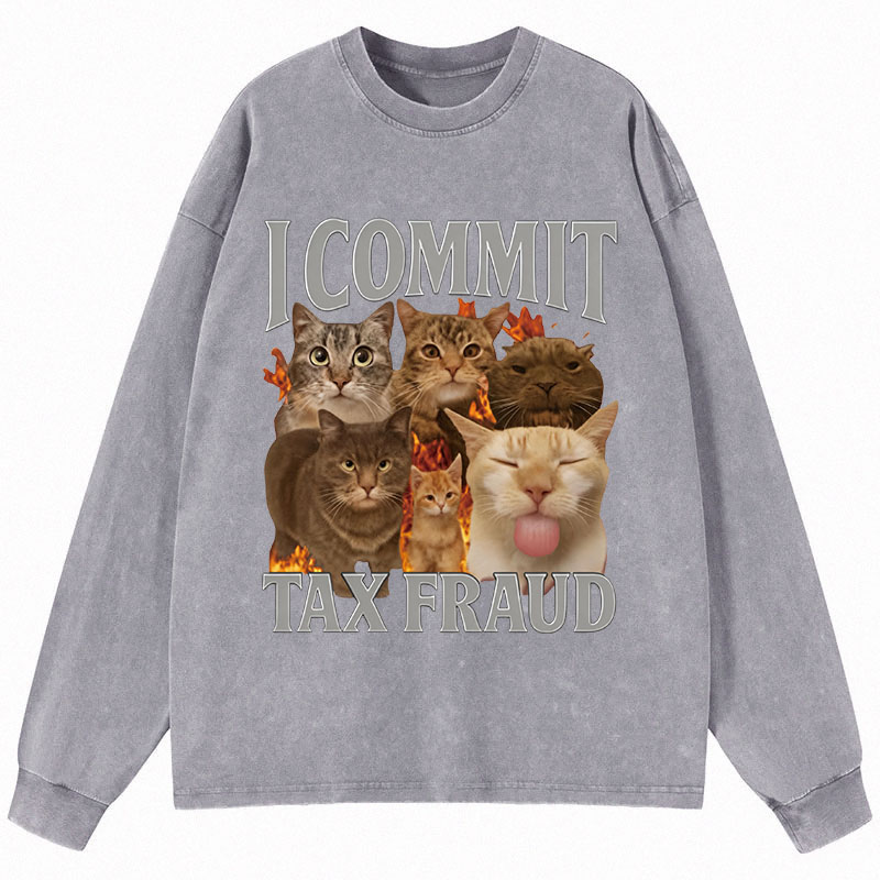 Tokyocanvas I Commit Tax Fraud Long Sleeve Washed T-Shirt