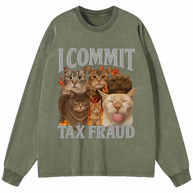 Tokyocanvas I Commit Tax Fraud Long Sleeve Washed T-Shirt
