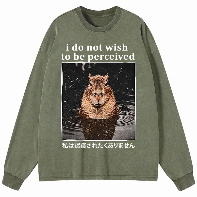 Tokyocanvas I Do Not Wish to Be Perceived Capybara Long Sleeve Washed T-Shirt