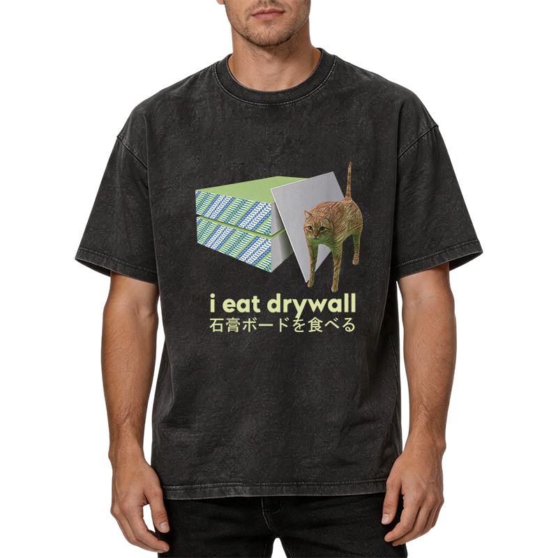 Tokyocanvas Eat Drywall Cat Meme Washed T-Shirt