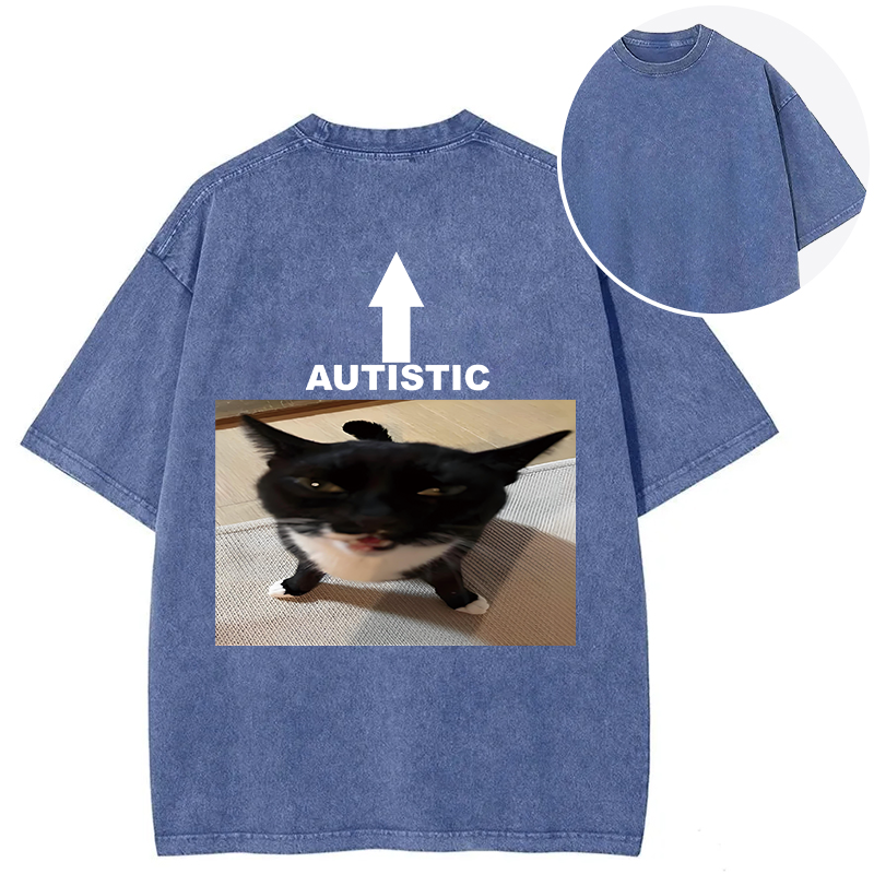 Tokyocanvas Autistic Cat Back Washed T-Shirt