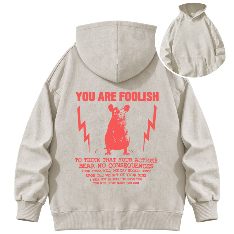 Tokyocanvas You Are Foolish Rat Meme Washed Hoodie