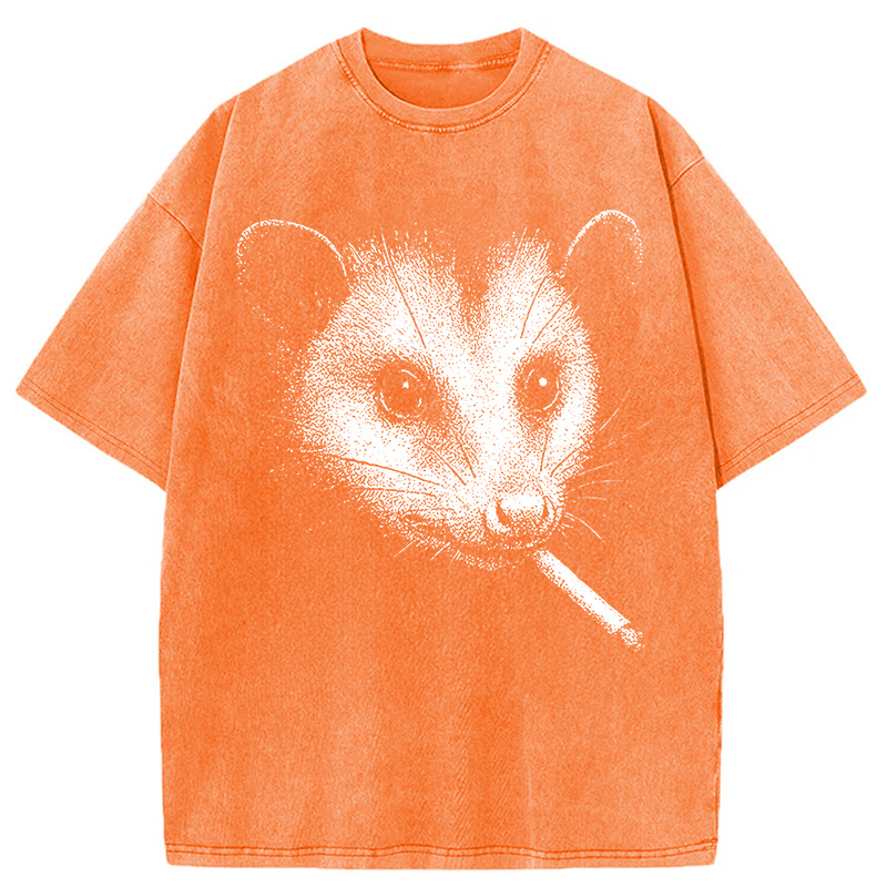 Tokyocanvas Smoking Possum Meme Washed T-Shirt