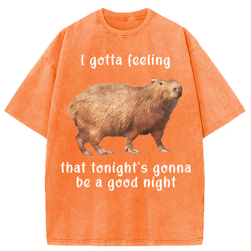 Tokyocanvas Capybara Gotta Feeling Washed T-Shirt
