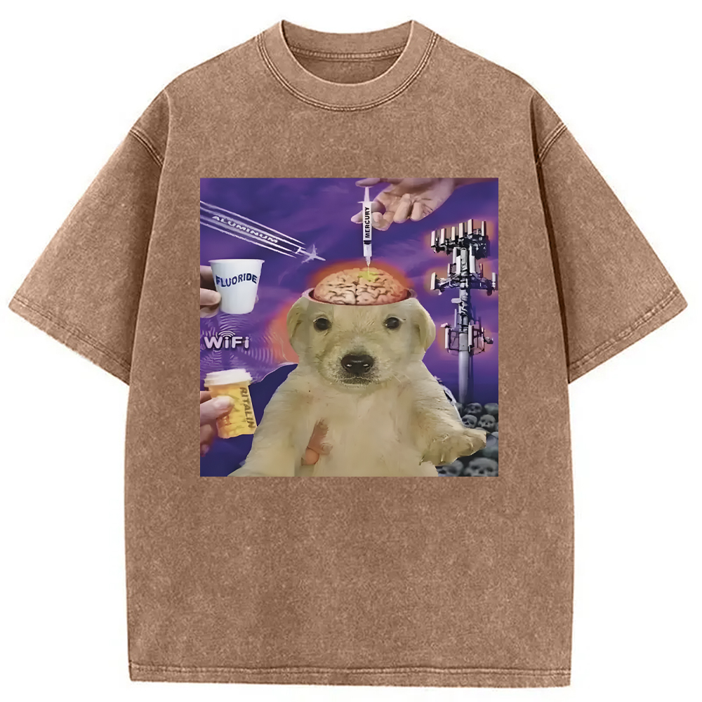 Tokyocanvas Brainwashed Jotchua Meme Washed T-Shirt