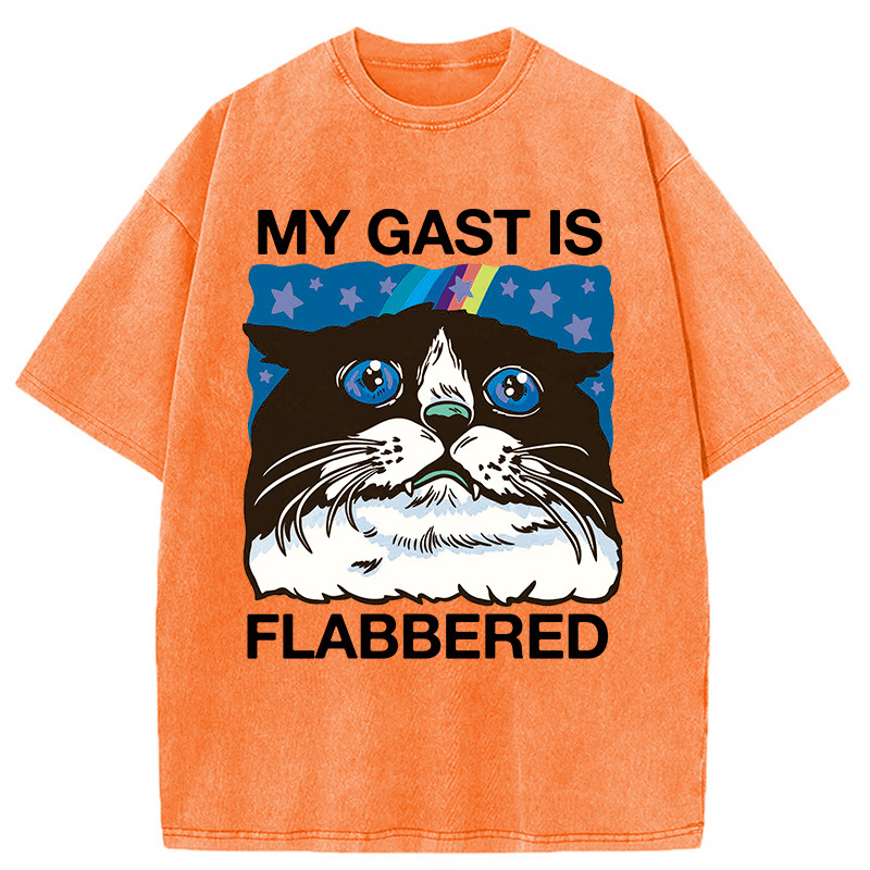 Tokyocanvas My Cat Is Washed T-Shirt