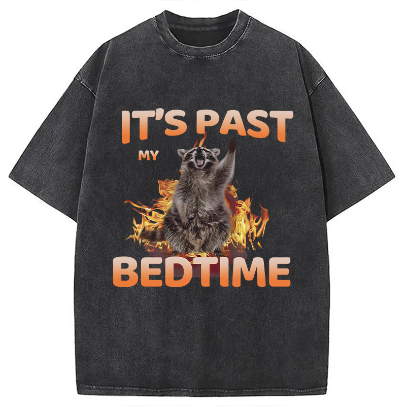 Tokyocanvas It's Past My Bedtime Washed T-Shirt