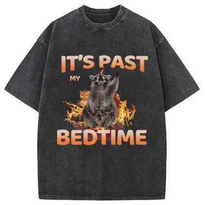 Tokyocanvas It's Past My Bedtime Washed T-Shirt