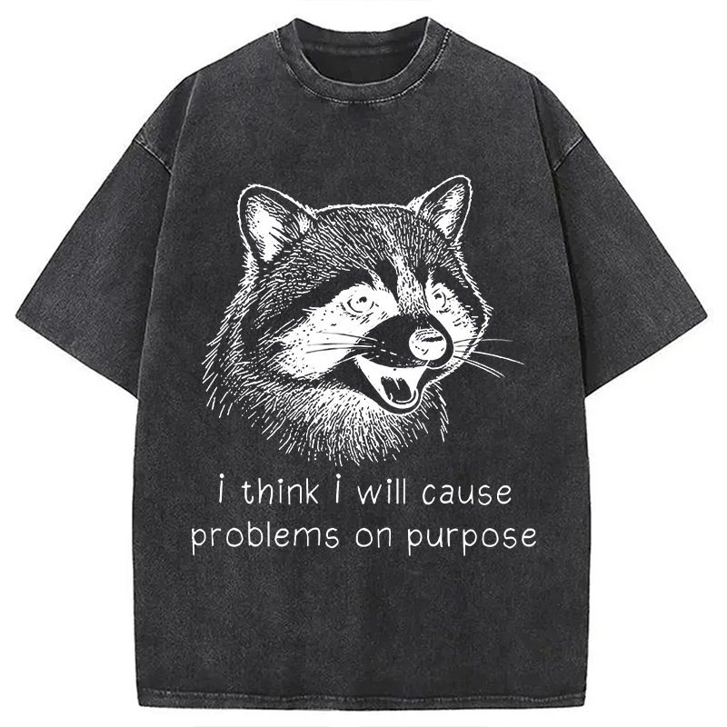 Tokyocanvas Stupid Raccoon Funny Washed T-Shirt