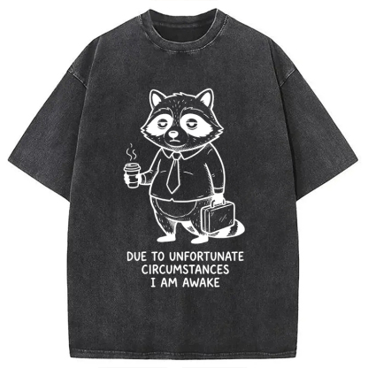Tokyocanvas Grumpy Raccoon Morning Washed T-Shirt