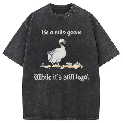 Tokyocanvas Be A Silly Goose Washed T-Shirt