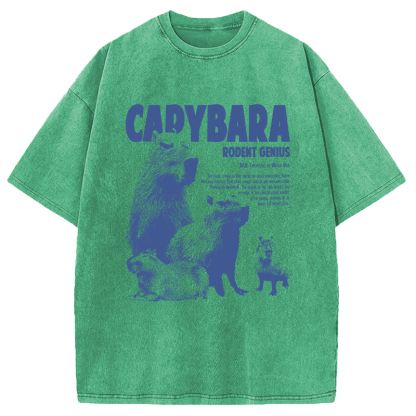 Tokyocanvas Capybara Vintage Washed T-Shirt