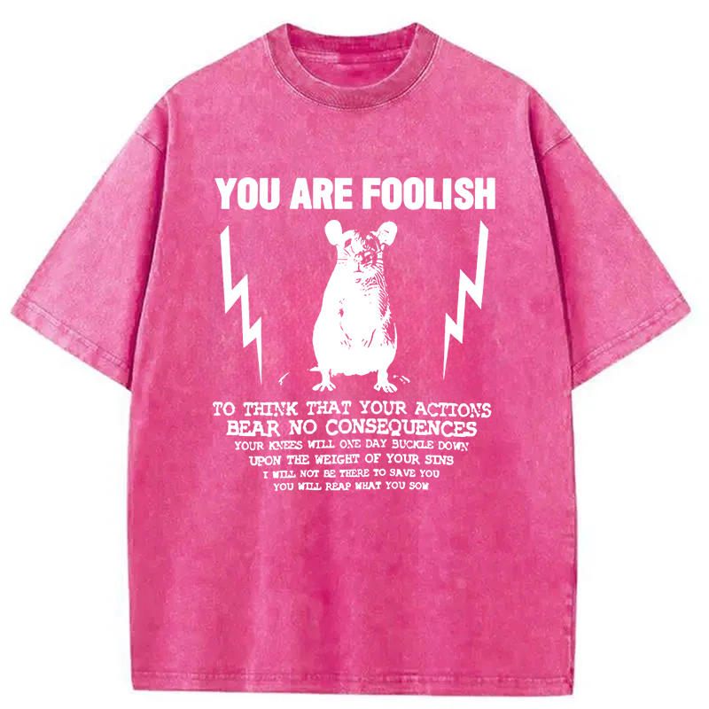 Tokyocanvas You Are Foolish Rat Meme Washed T-Shirt