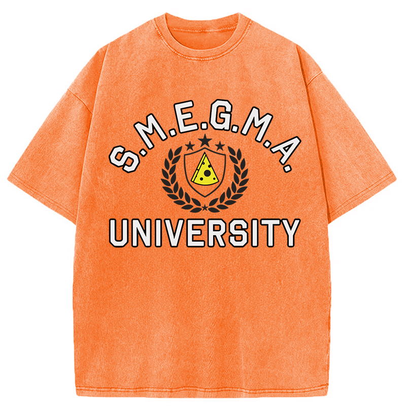 Tokyocanvas Smegma University Funny Washed T-Shirt