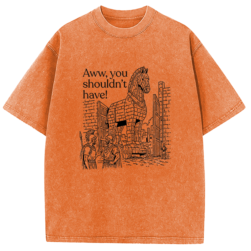 Tokyocanvas Aww, You Shouldn't Have! Washed T-Shirt
