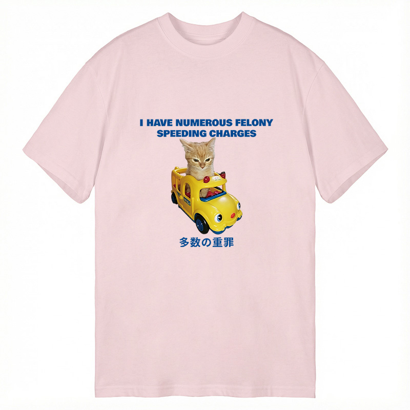 Tokyocanvas I Have Numerous Felonies For Speeding Classic T-Shirt
