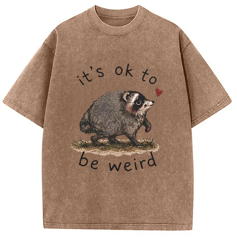Tokyocanvas It’s OK to Be Weird Washed T-Shirt