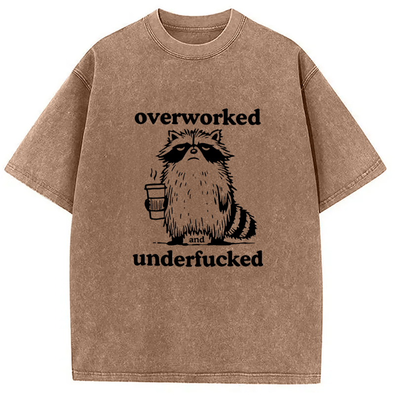 Tokyocanvas Overworked and Underfucked Washed T-Shirt