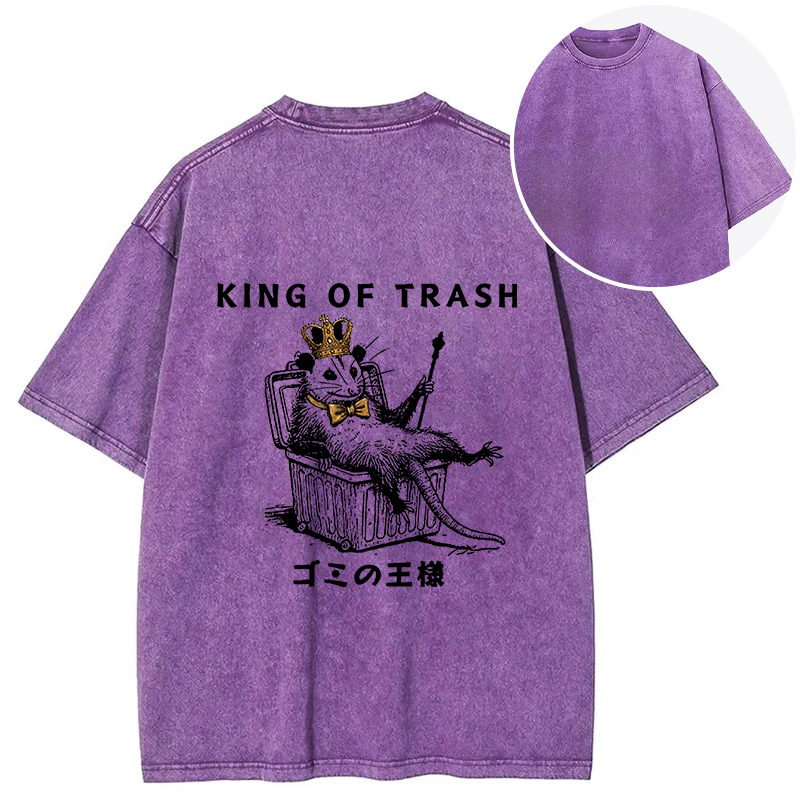 Tokyocanvas King Of Trash Back Washed T-Shirt