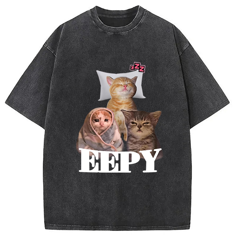 Tokyocanvas Eepy Cat Meme Washed T-Shirt