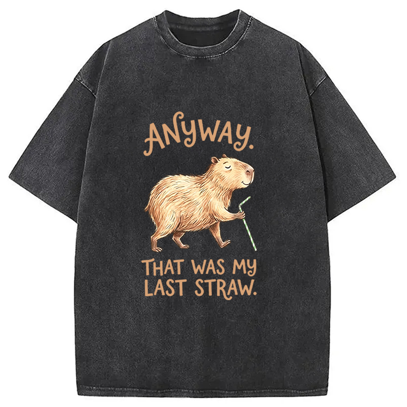Tokyocanvas Funny Capybara Anyway that was My Last Straw Washed T-Shirt