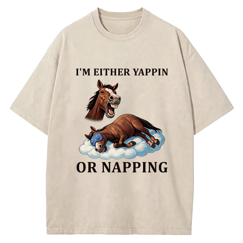Tokyocanvas Im Either Yappin or Napping  Washed T-Shirt