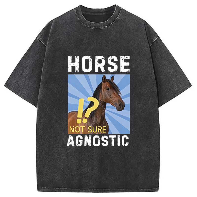 Tokyocanvas Horse Agnostic, Not Sure Essential Washed T-Shirt